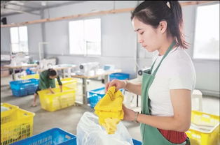 郊野小院里的日用雜品銷售夢